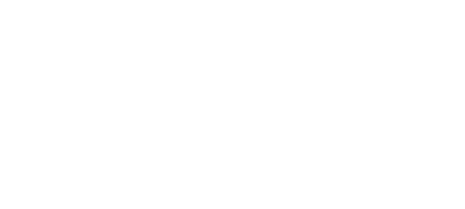 ChiLi NanoSym